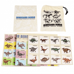 dinosaurs game cards with cotton bag and instructions book