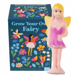 Fairies in the Garden grow your own fairy with box