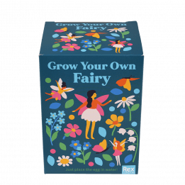 Fairies in the Garden grow your own fairy front of box