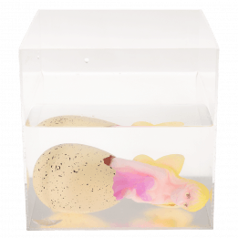 Giant hatching egg in container of water with fairy appearing