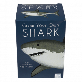 Sharks grow your own shark front of box