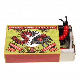 Slimy Creepy Crawlies In A Box