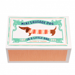 Mini Sausage Dog In A Little Box