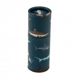 Sharks Colouring Pencils In A Tube (set Of 12)