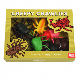 Assorted Creepy Crawlies