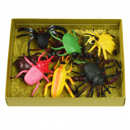 Assorted Creepy Crawlies