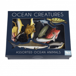 Assorted Ocean Animals (box Of 16)