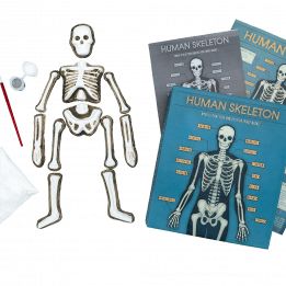 Make your own glow dark skeleton magnet