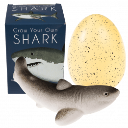 Sharks Giant Hatching Shark Egg