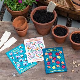 Nature Seed Collection Assorted (single)