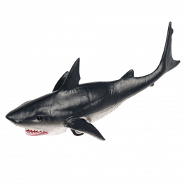 Shark Pull Back Toy