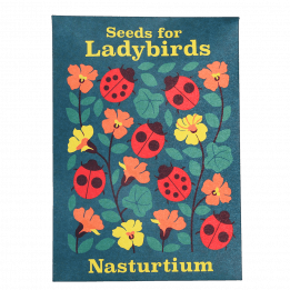 Nature Seed Collection Assorted (single)
