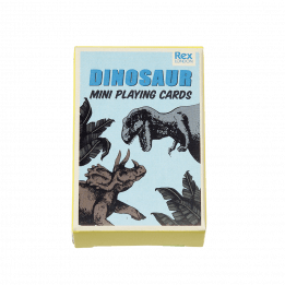 Prehistoric Land Mini Playing Cards