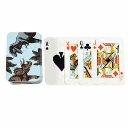 Prehistoric Land Mini Playing Cards