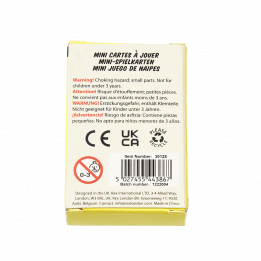 Prehistoric Land Mini Playing Cards