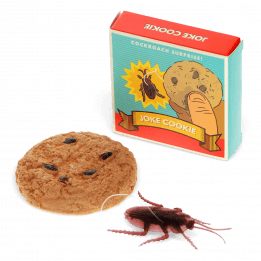 Joke Cookie - Classic Jokes