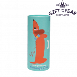 Sew Your Own Sausage Dog - Gift of the year award 2024 - Shortlisted