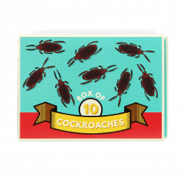 Box Of 10 Cockroaches