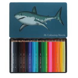 36 colouring pencils in a tin - Sharks