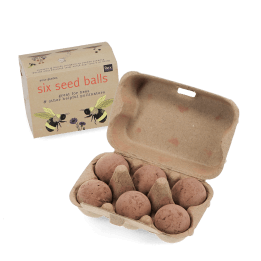 seed balls in egg box