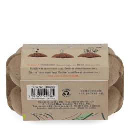 seed balls in egg box