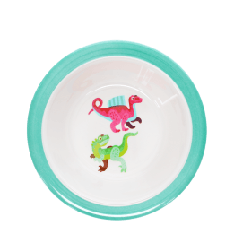 Dinosaur-melamine-bowl