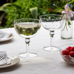Etched star coupe glasses (set of 2) - Clear