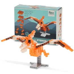 completed pterodactyl model alongside the packaging