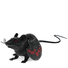 A black realistic rat with tag