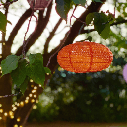 An orange paper lantern hangs in a tree at dusk