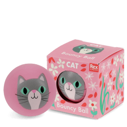 Pink bouncy ball with a cat face design next to its matching box 