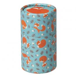 Set Of 36 Rusty The Fox Design Colouring Pencils