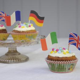 World Map Cupcake Kit