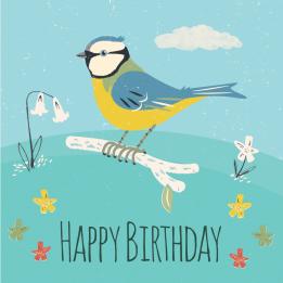 Blue Tit Birthday Card