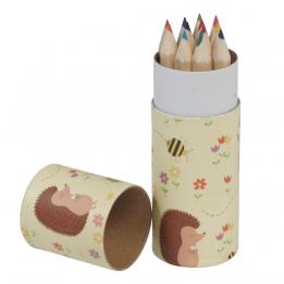Set Of 12 Colouring Pencils Honey The Hedgehog Design