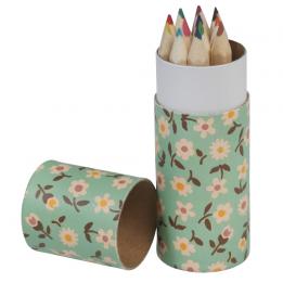 Set Of 12 Colouring Pencils Daisy Design