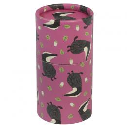 Set Of 36 Mr Badger Design Colouring Pencils
