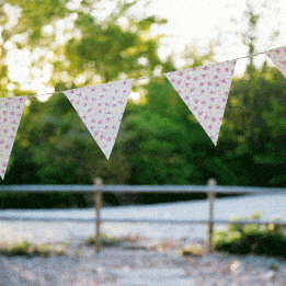 La Petite Rose Paper Bunting