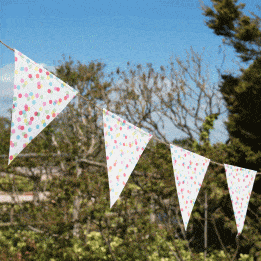 Confetti Paper Bunting