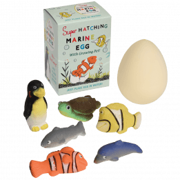 Hatch Your Own Marine Animal