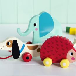 Ella The Hedgehog Wooden Pull Toy