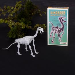 Assorted Dinosaur Skeleton Kit