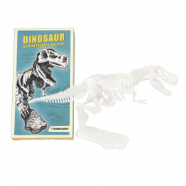 Assorted Dinosaur Skeleton Kit