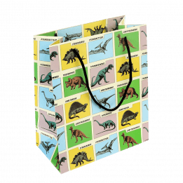 Small Prehistoric Land Gift Bag