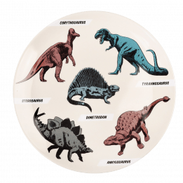 Prehistoric Land Melamine Plate