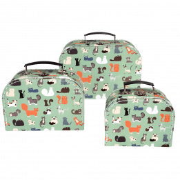 Nine Lives Cases (set Of 3)