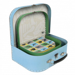 Prehistoric Land Cases (set Of 3)