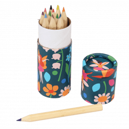 Fairies In The Garden Colouring Pencils (set Of 12)