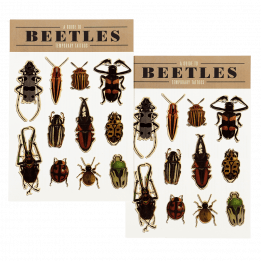 Beetles Temporary Tattoos (2 Sheets)