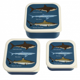 Three plastic snack boxes large medium small featuring images of sharks